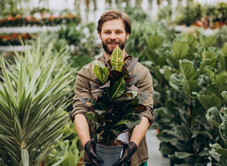 Seasonal Plantings