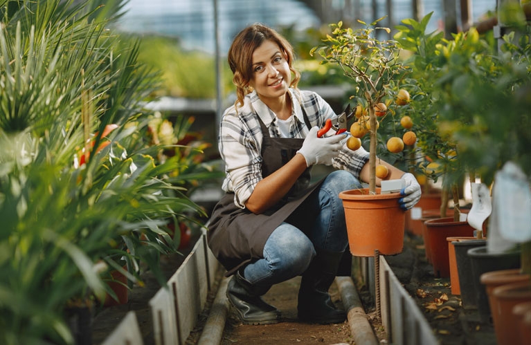 Sensitive Landscape Maintenance