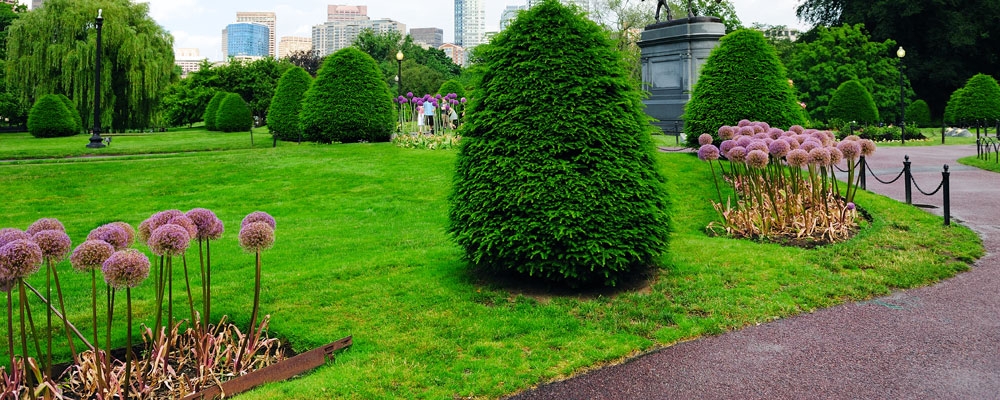 The Cosmic Green Thumb Guide to Gardening